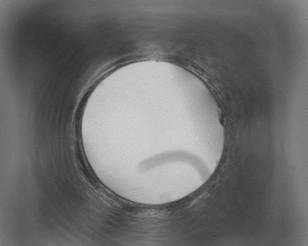 X0000082160198200702162243