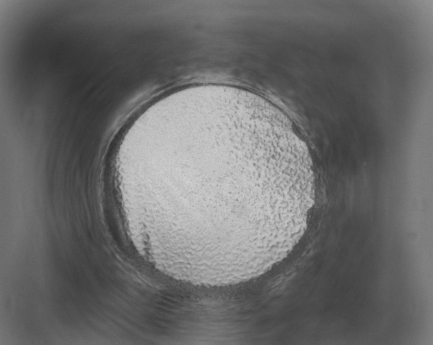 X0000082160199200702162243