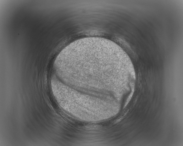 X0000082160202200702162243