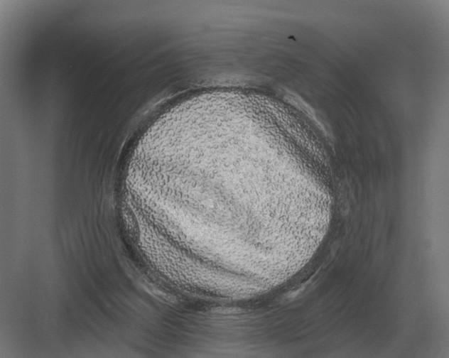 X0000082160203200702162243