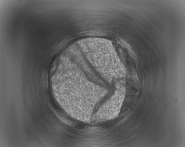 X0000082160205200702162243