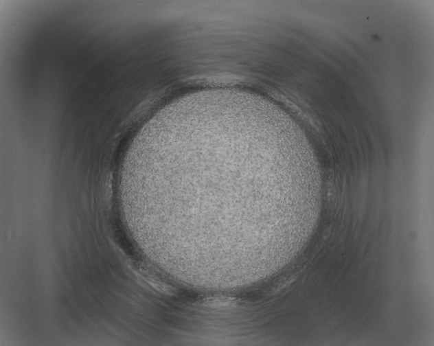 X0000082160206200702162243