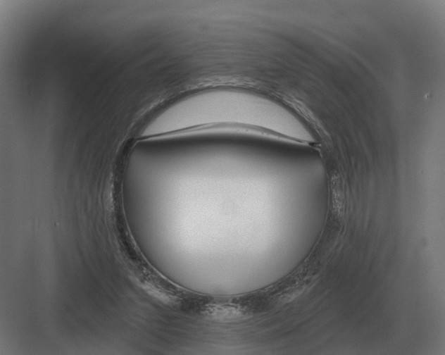 X0000082160207200702162243