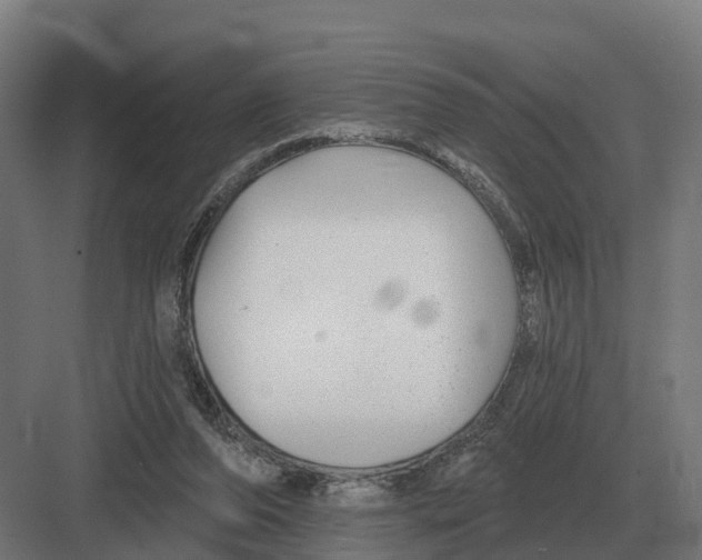 X0000082160208200702162243