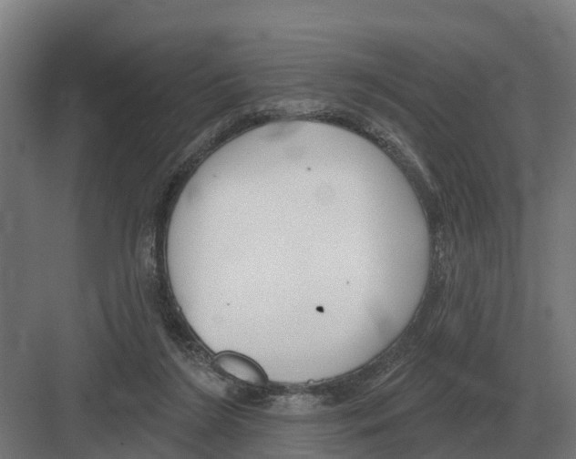 X0000082160212200702162243