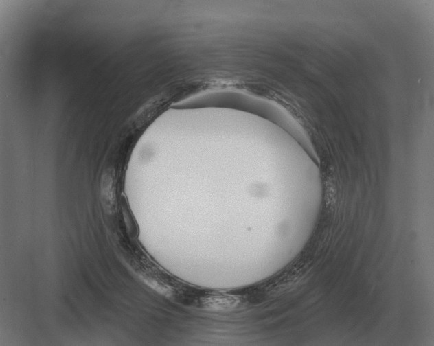 X0000082160215200702162243