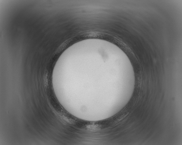 X0000082160216200702162243