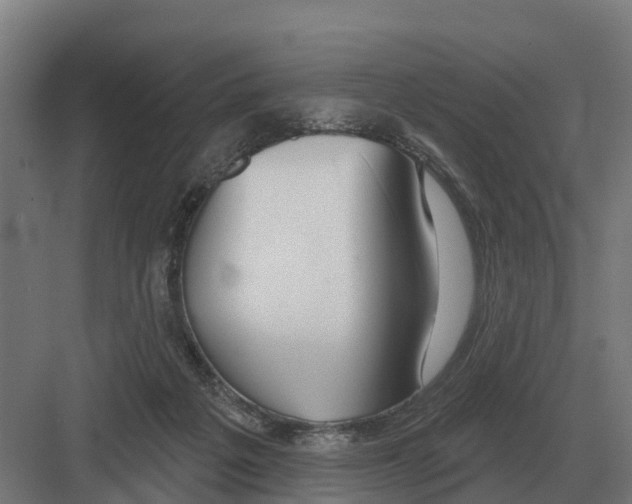 X0000082160217200702162243