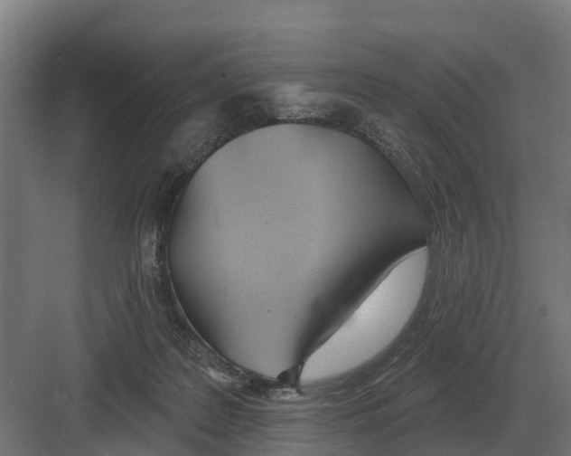 X0000082160219200702162243