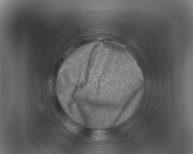 X0000082160222200702162243