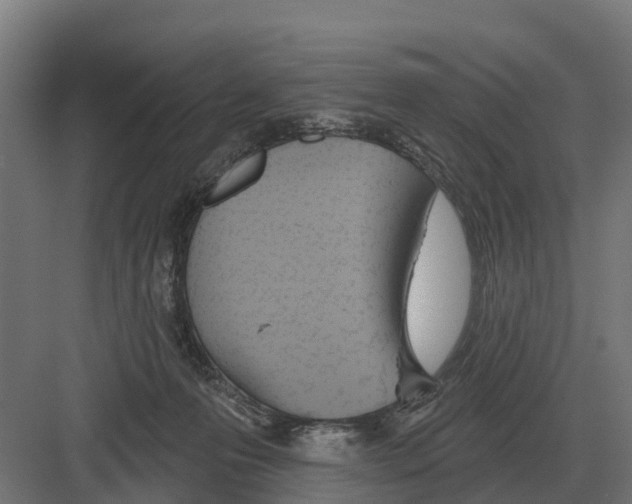 X0000082160223200702162243