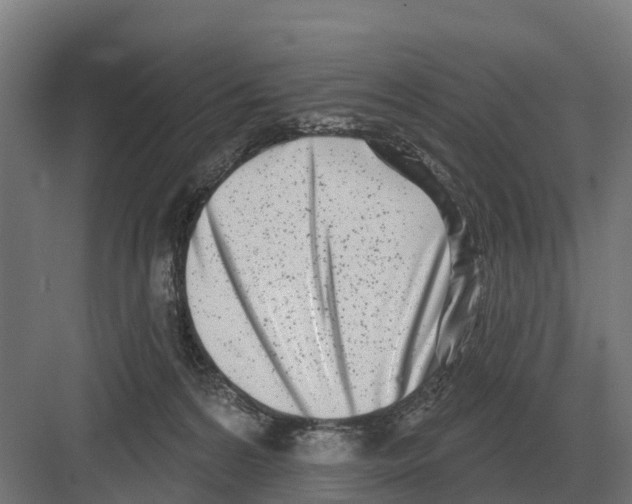 X0000082160224200702162242