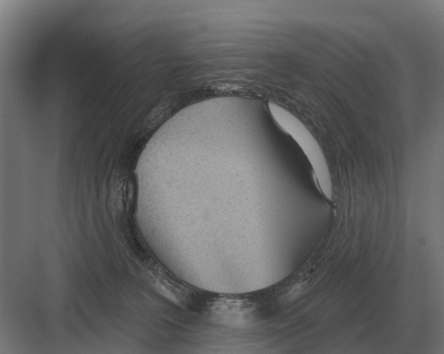 X0000082160227200702162242