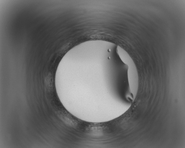 X0000082160228200702162242