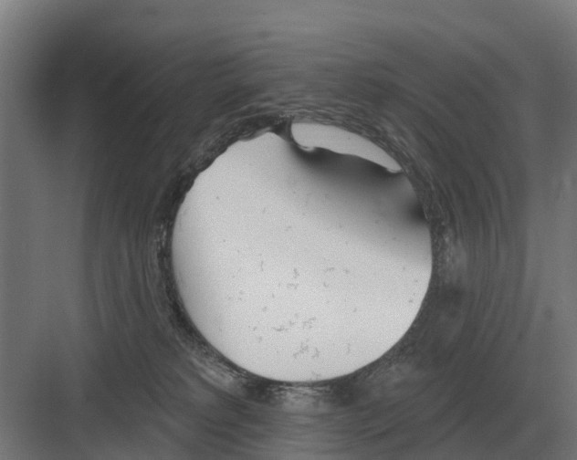 X0000082160229200702162242