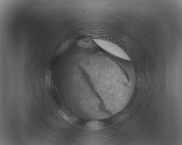 X0000082160231200702162242