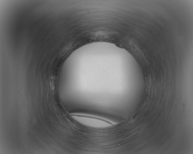 X0000082160232200702162242