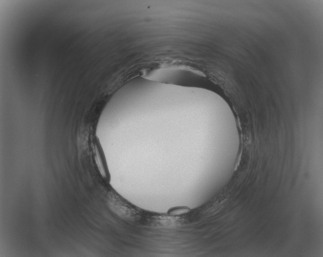 X0000082160233200702162242