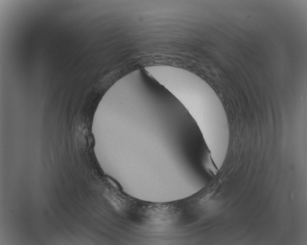 X0000082160235200702162242