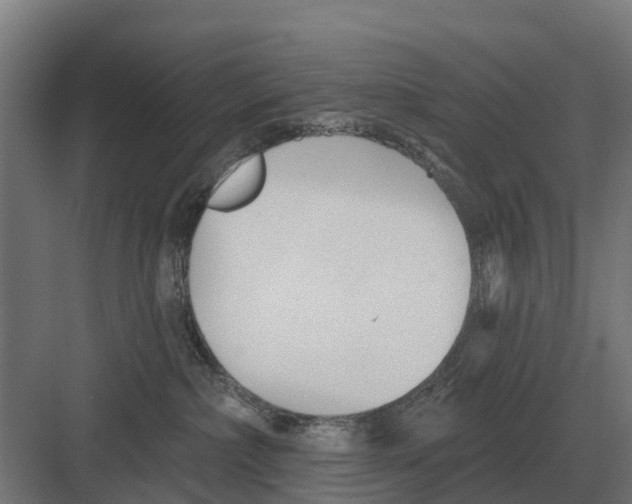 X0000082160236200702162242