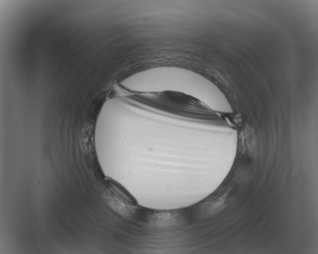 X0000082160237200702162242