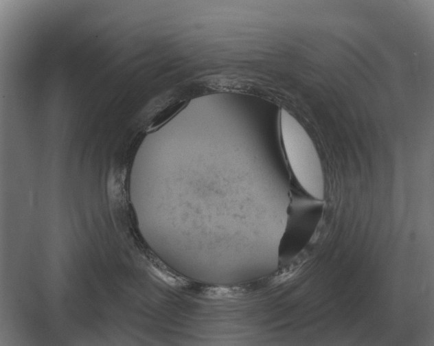 X0000082160239200702162242