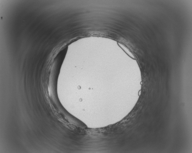 X0000082160241200702162241