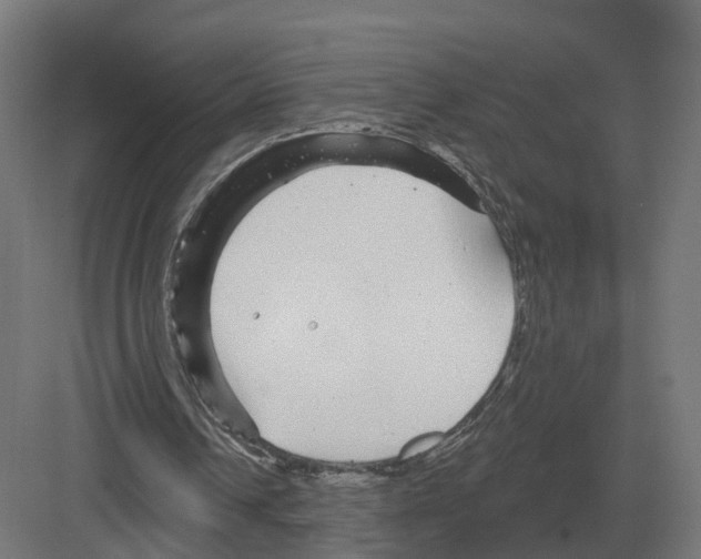 X0000082160242200702162241