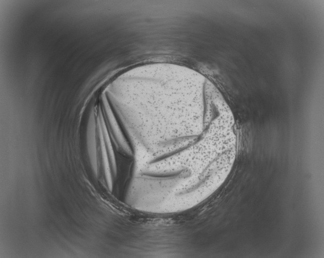 X0000082160243200702162241