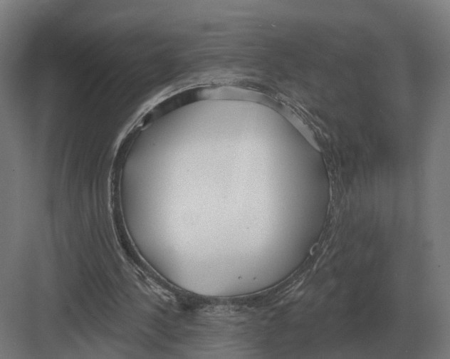 X0000082160244200702162241