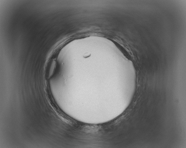 X0000082160245200702162241