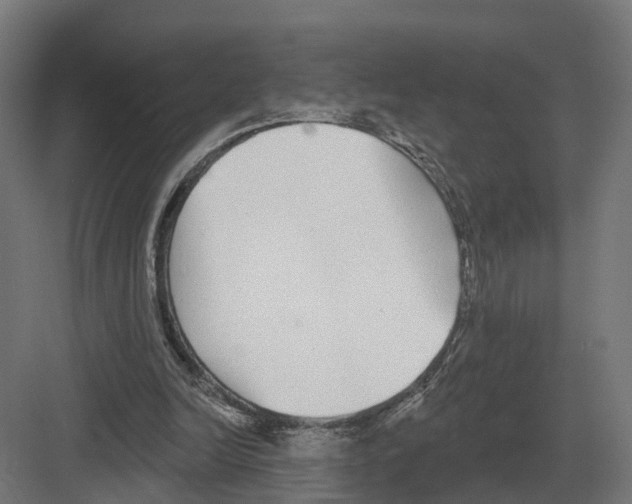 X0000082160246200702162242