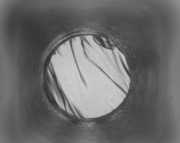 X0000082160247200702162242