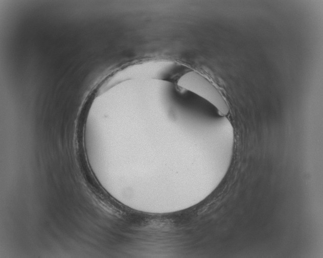 X0000082160248200702162242