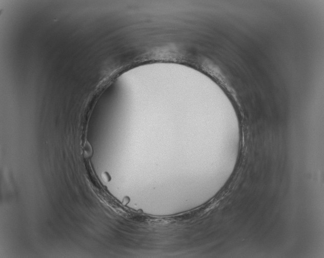 X0000082160249200702162242