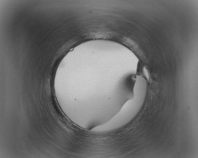 X0000082160250200702162242