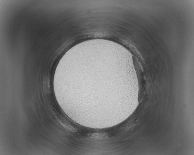 X0000082160251200702162242