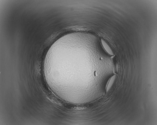 X0000082160255200702162242