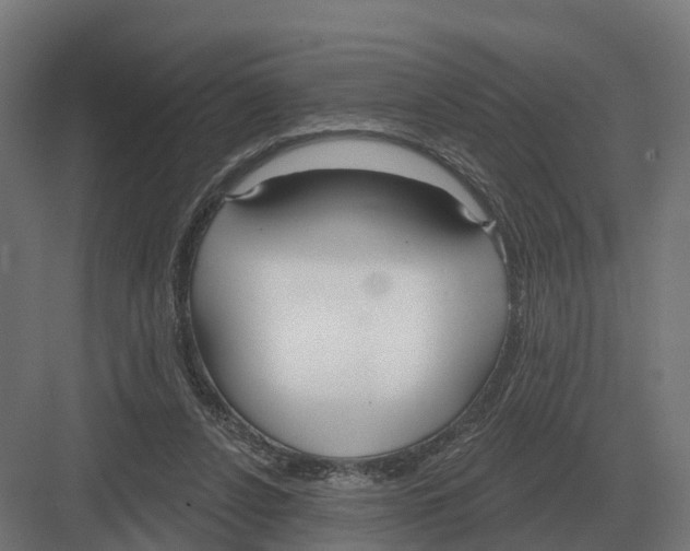 X0000082160256200702162242