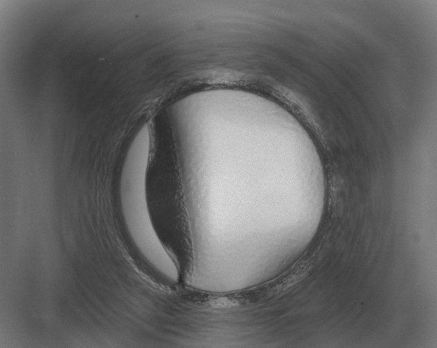 X0000082160257200702162242