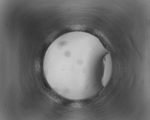 X0000082160259200702162242