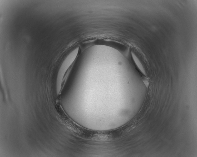 X0000082160260200702162242