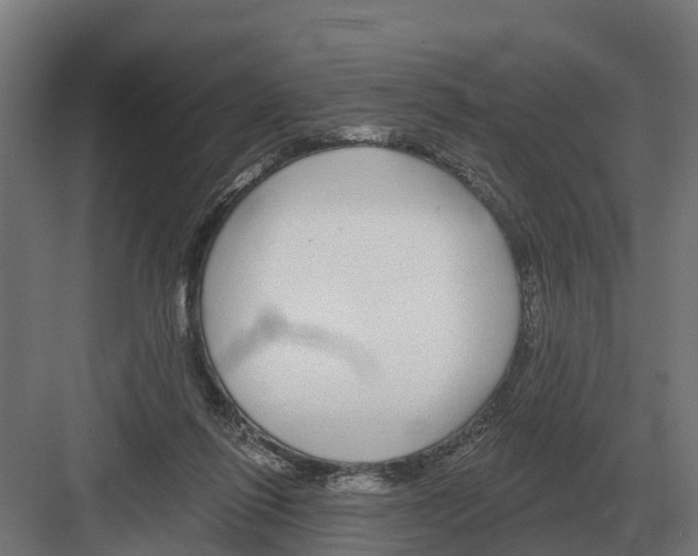 X0000082160262200702162242