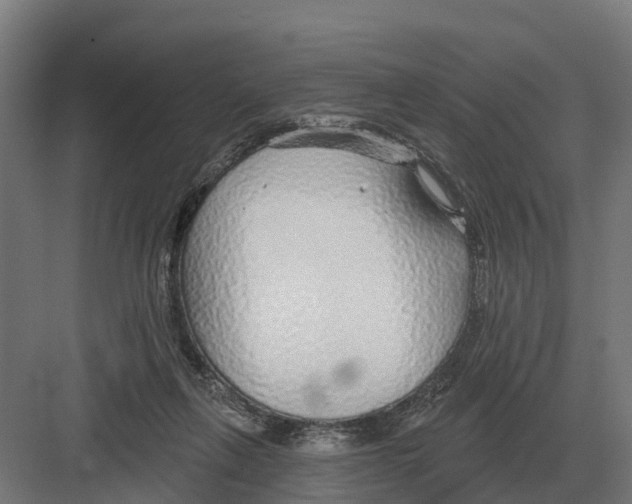 X0000082160263200702162242