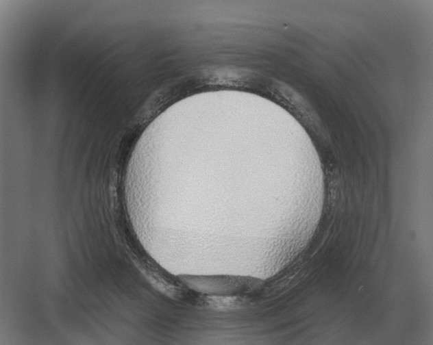 X0000082160265200702162242