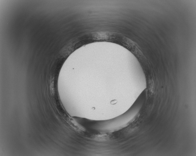 X0000082160267200702162242