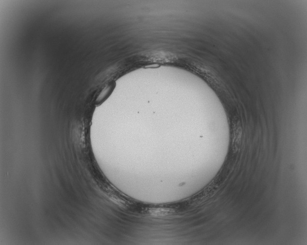 X0000082160268200702162242