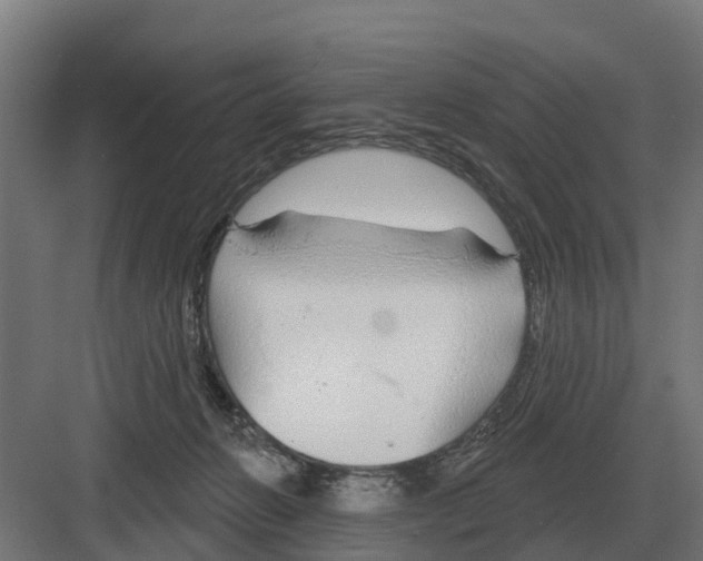 X0000082160270200702162242