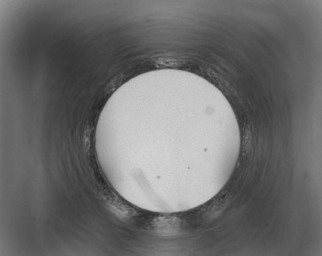 X0000082160271200702162242