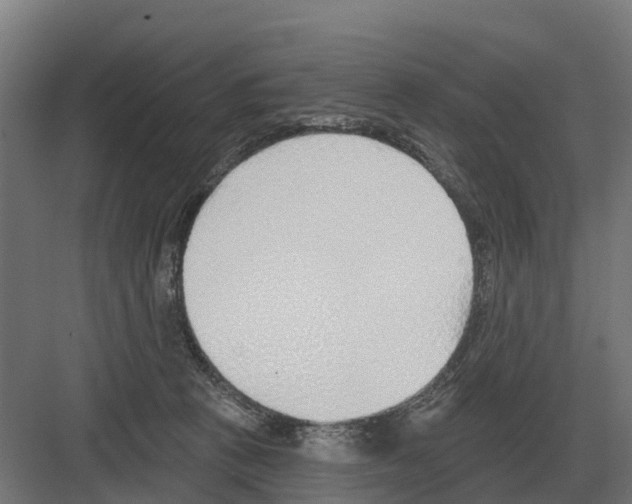 X0000082160273200702162242